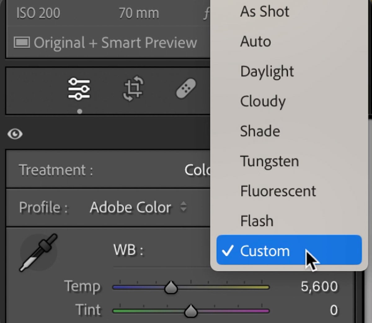 What is color correction in photography: a clear explanation