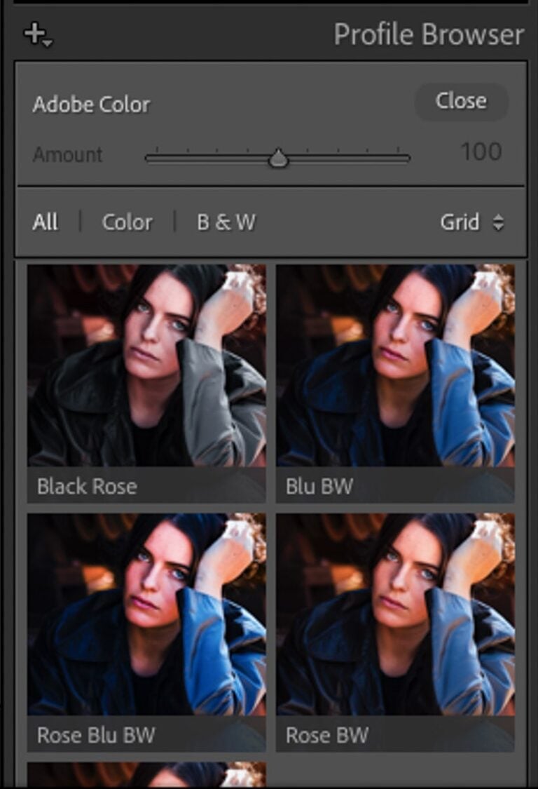 How to move Lightroom catalog to a new computer (2024)