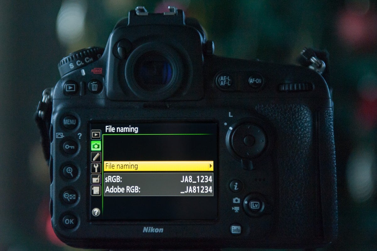 File naming menu on camera