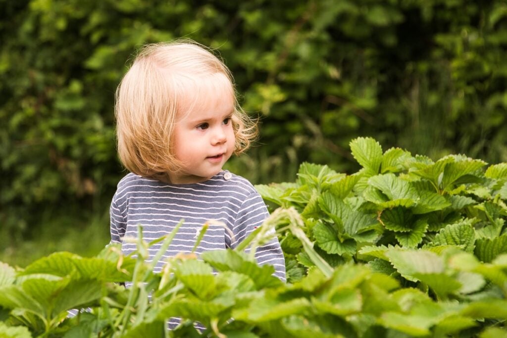 19 essential photography composition rules for creative photos