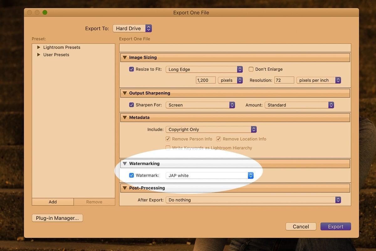 Export dialog box in Lightroom