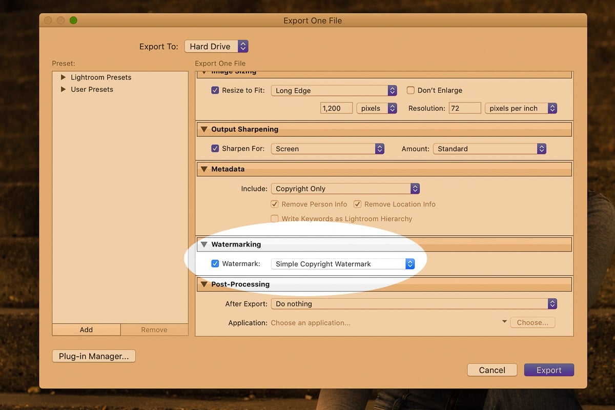 Lightroom export dialog box to select watermark