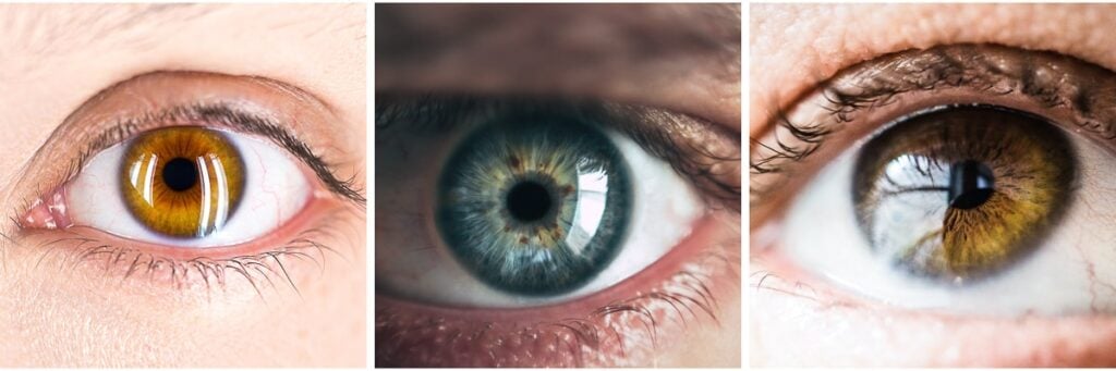 How to create catchlights in photography for eyes that sparkle
